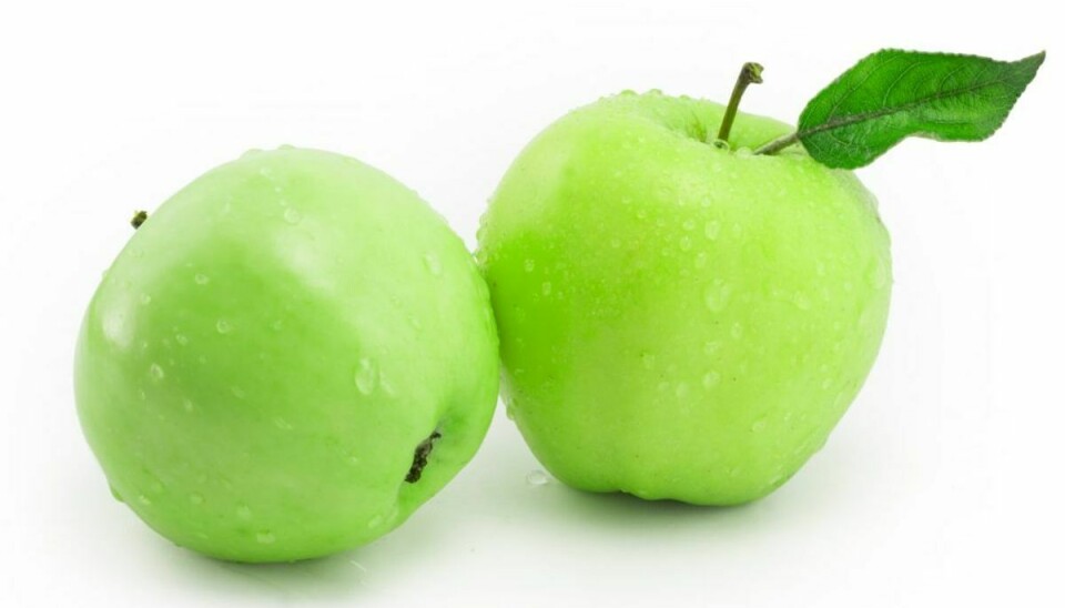 Hvis du gnasker et æble i dig om dagen, så tæller det som et halvt glas vand.