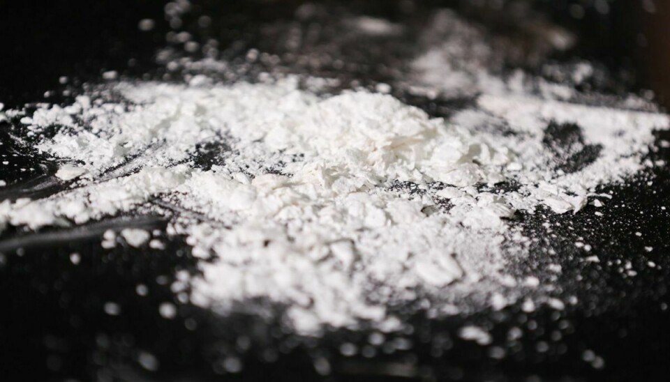 En polsk statsborger forsøgte mandag at smugle 15 kilo kokain og 1000 ecstasypiller over den dansk-tyske grænse. (Arkivfoto).