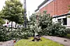 Mandag skulle et væltet træ fjernes ved Tietgensgade i København. (Arkivfoto).