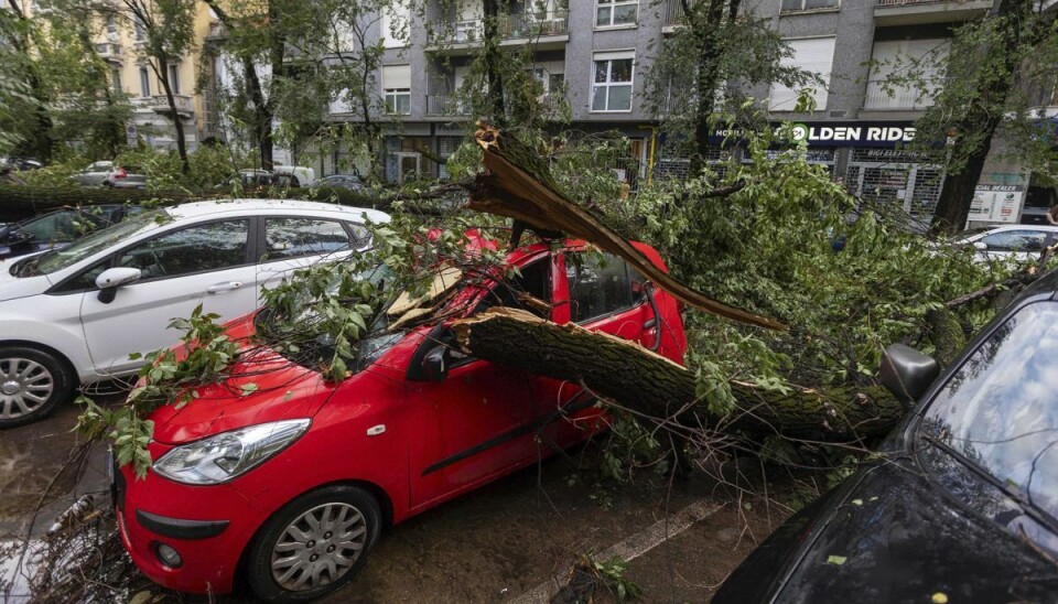 Et træ er faldet ned over en bil efter et voldsomt uvejr i Milano. Et træ er faldet ned over en bil efter et voldsomt uvejr i Milano.