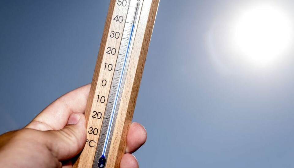 Det bliver varmt i juli! Helt op til 30 grader enkelte dage. Foto: Ritzau Scanpix/ Arkiv Det bliver varmt i juli! Helt op til 30 grader enkelte dage. Foto: Ritzau Scanpix/ Arkiv