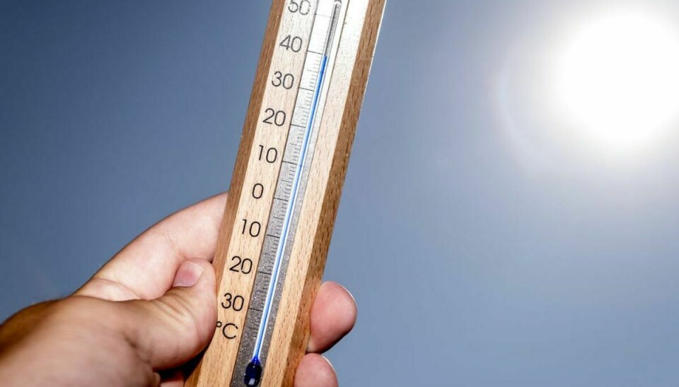 Der er størst chancer for dage med over 25 graders varme i uge 30. Foto: Ritzau Scanpix/ Arkiv