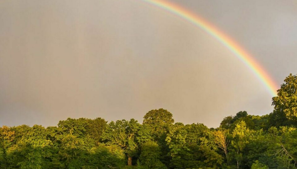 Smuk ser den ud, sådan en regnbue. Men det er ikke en, man har lyst til at se på hele sommeren – for så betyder det en våd sommer….. Arkivfoto: Scanpix.