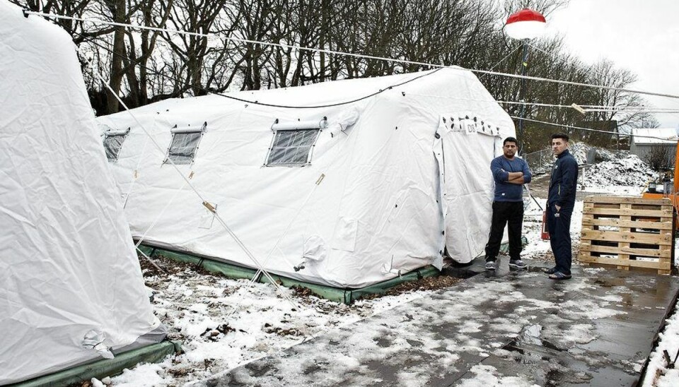 Asylansøgere evakueres på grund af storm-Gorm Teltlejren i Thisted skal stå sin prøve, når en storm rammer Danmark. Foto: Scanpix