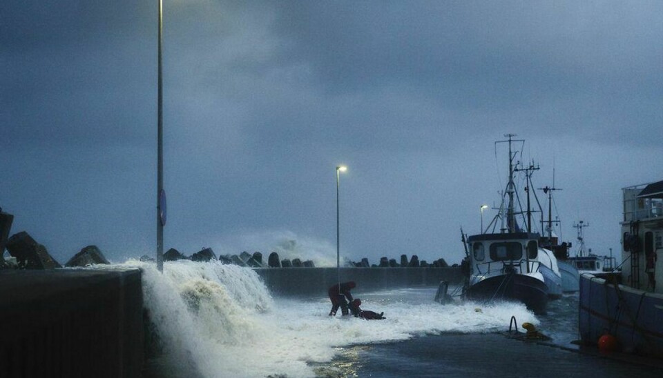 Stormen, der forventes at ramme Danmark søndag aften, vil nu kaste orkan-vindstød over det meste af landet. Foto: Scanpix