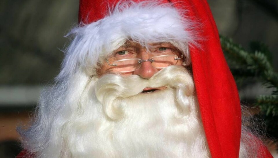 Søgninger på nettet: Nu er det jul Nu’ det jul, og træet tændes igen. Det er ikke blot en sang, men også virkeligheden i de danske hjem, viser november måneds søgestatistik fra Krak. Foto: Elo Christoffersen.