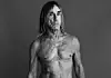 Iggy Pop er uden tvivl en levende legende, og til juni skal han for første gang optræde på NorthSide. Pressefoto.