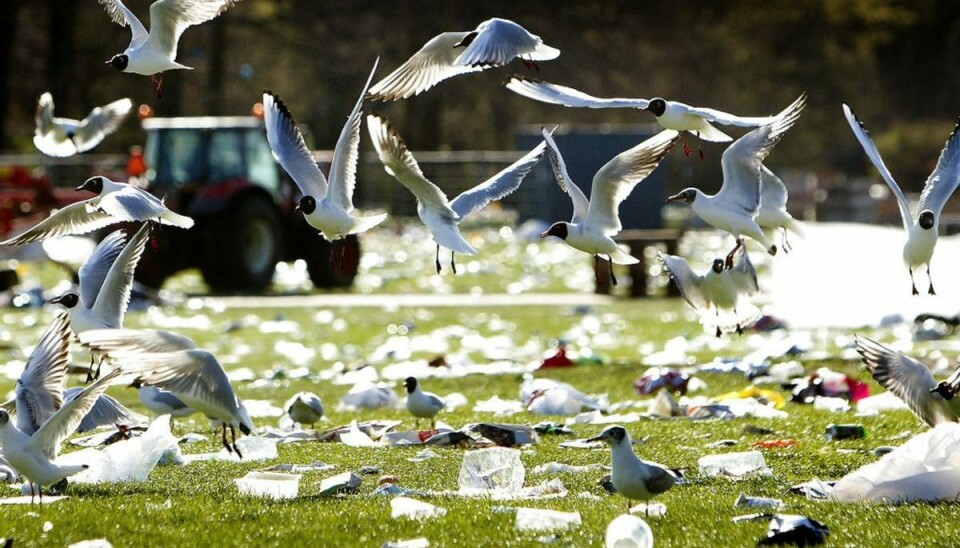 Der er rekordmange, der bruger naturen. Desværre er der stadig mange, der ikke får deres affald med derfra. Det kan skade dyrene. KLIK VIDERE OG SE MERE Foto: Ritzau Scanpix/ Arkiv Der er rekordmange, der bruger naturen. Desværre er der stadig mange, der ikke får deres affald med derfra. Det kan skade dyrene. KLIK VIDERE OG SE MERE Foto: Ritzau Scanpix/ Arkiv