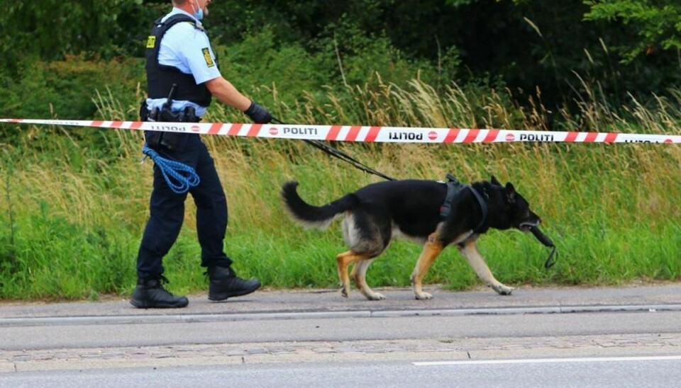 Politiets hundepatrulje på arbejde på stedet. Foto: Presse-fotos.dk