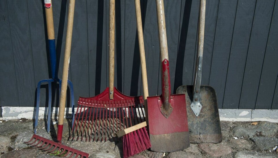Tjek træskafterne på dine haveredskaber, og udskift dem, der er splintrede eller knækkede. (Arkivfoto).