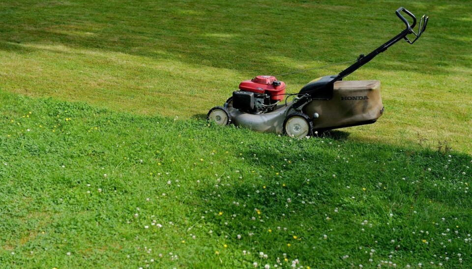 Flere reparatører af havemaskiner tilbyder at opbevare og efterse plæneklipperen hen over vinteren, så den er køreklar, når du henter den til foråret. (Arkivfoto).