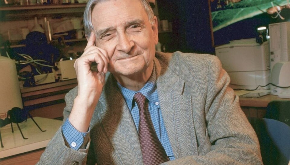 Edward O. Wilson Edward O. Wilson