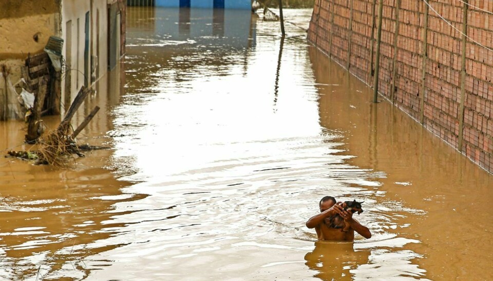 En mand løfter sin hund over oversvømmede gader i byen Itapetinga.