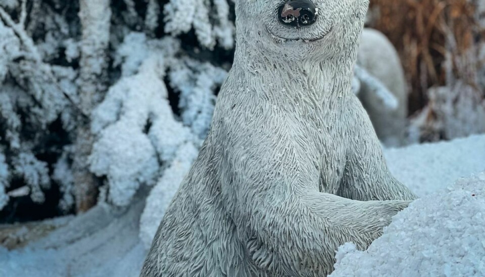 Isbjørnen Henrik er blevet genforenet med sin mor i isbjørne-bedet.