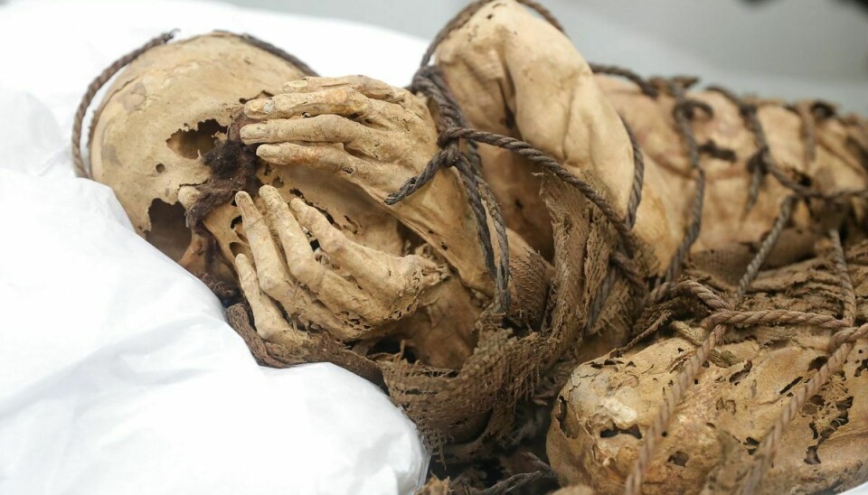 Mumien er 800-1200 år gammel.