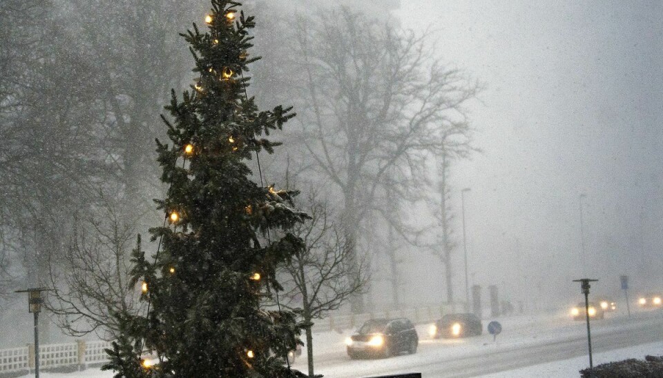 I gennemsnit er der hvid jul i Danmark hvert 12. år