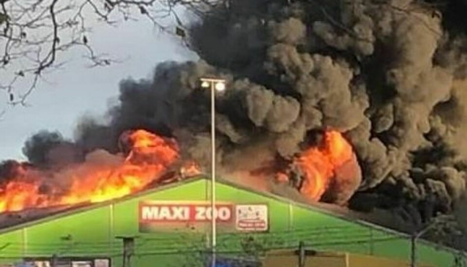 En voldsom brand raser i Maxi Zoo i Valby.