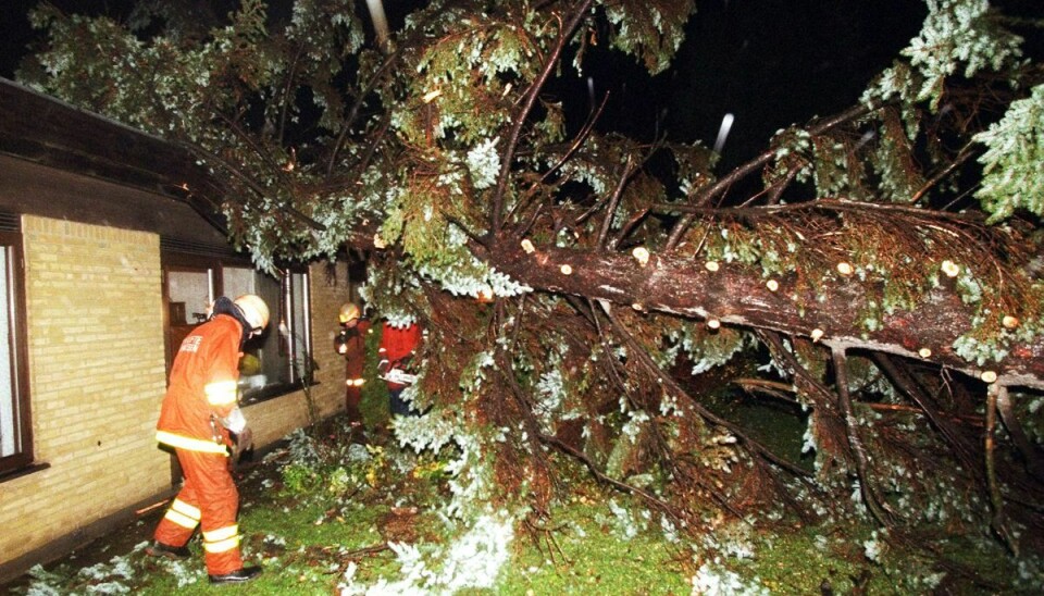 Den ødelæggende orkan der ramte Danmark fredag den 3. december 1999, blev kaldt 'den værste storm i Danmark i det(te) århundrede'.
