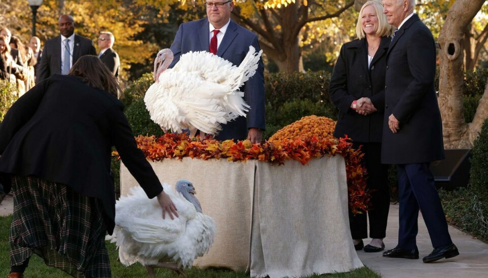 FOrmanden for Nationalæ Turkey Federation Phil Seger til venstre i billedet, kalkunfarmer Andrea Welp og præsident Joe Biden stillede op til billeder. FOrmanden for Nationalæ Turkey Federation Phil Seger til venstre i billedet, kalkunfarmer Andrea Welp og præsident Joe Biden stillede op til billeder.