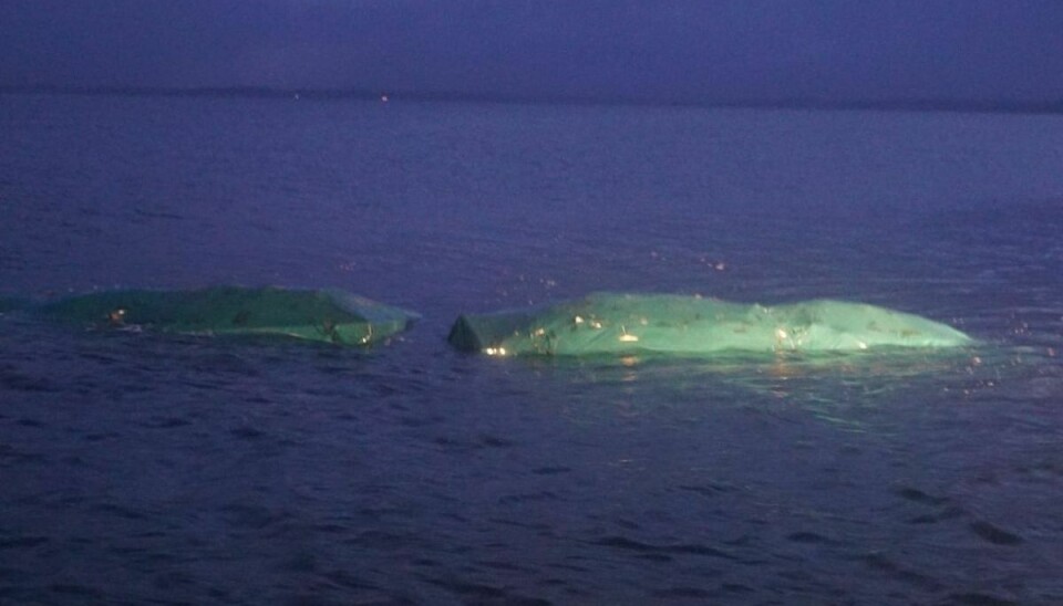 Benny Nielsens lastbil trillede af Hvalpsundfærgen og lå 150 meter ude i Limfjorden.