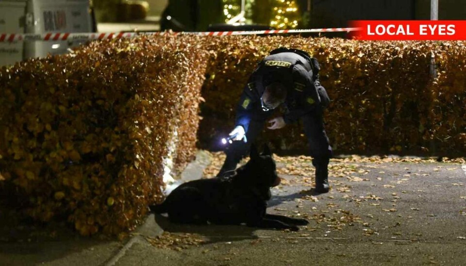 Betjente og politihunde var massivt til stede i boligområdet Cederlunden i Taastrup efter knivoverfald.