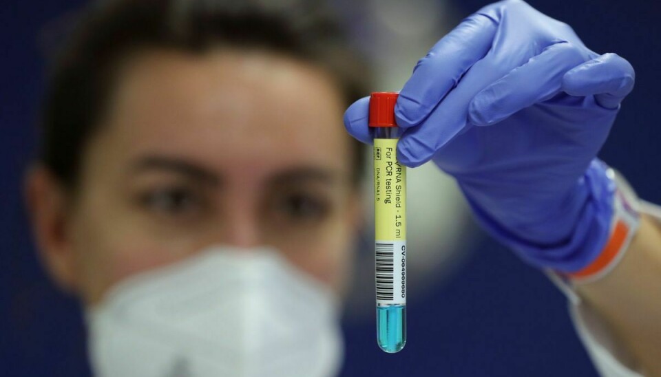 A laboratory worker shows a PCR test for the coronavirus disease (COVID-19) at the University of Liege, Belgium August 12, 2020. According to the university, the test allows thousands of additional tests to be performed every day. Picture taken August 12, 2020. REUTERS/Yves Herman