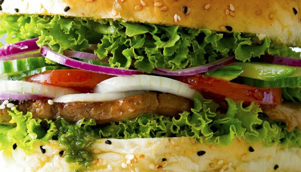Fødevarestyrelsen tilbagekalder et parti burgerboller.