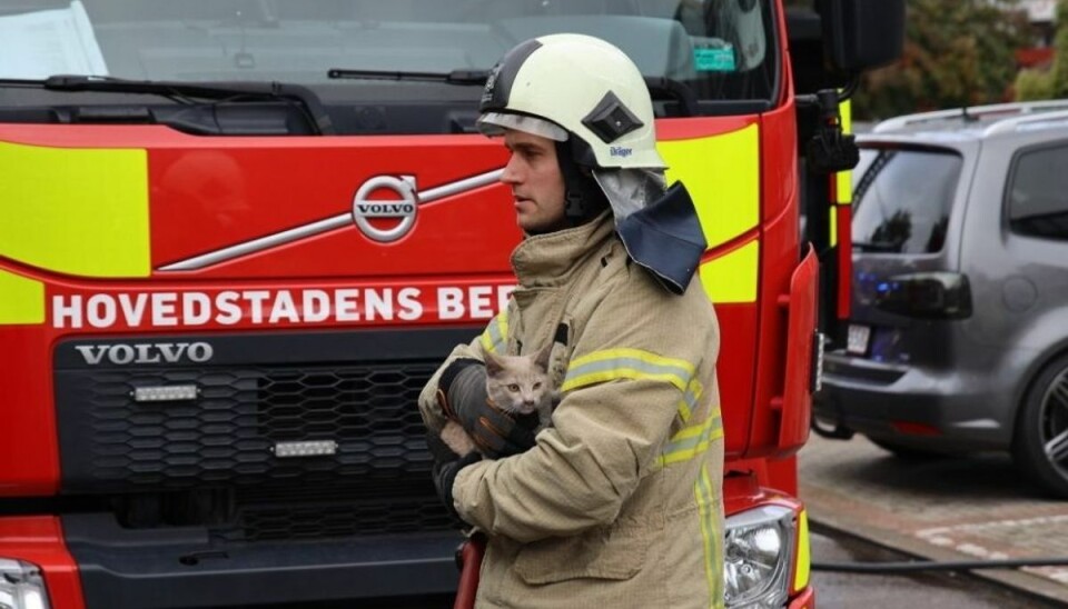 En kat blev reddet ud i forbindelse med en brand i en lejlighed