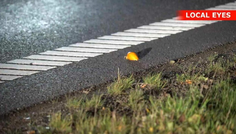 Det var blandt andet denne appelsin, som blev kastet. Det var blandt andet denne appelsin, som blev kastet.