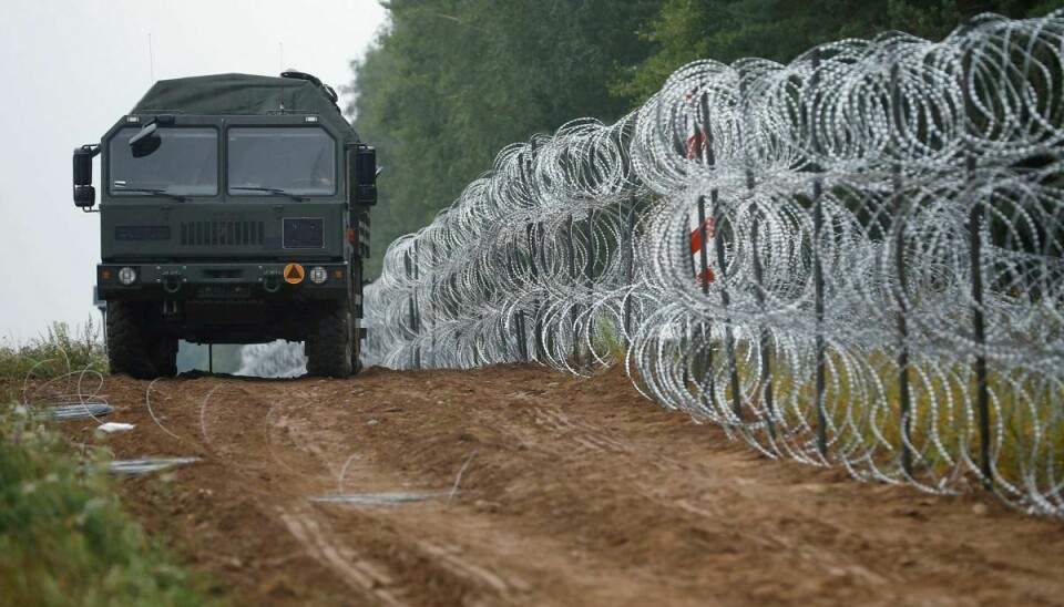 I forvejen har Polen sat kilometervis af pigtrådshegn op for at forhindre asylansøgere i at komme over grænsen fra Hviderusland. Nu vil den polske regering også bygge en mur. (Arkivfoto).