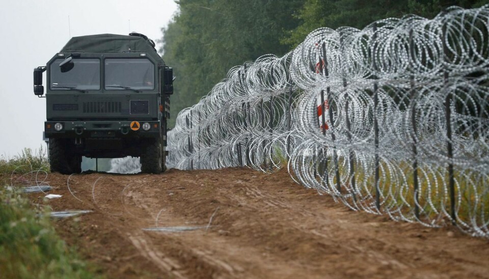 I forvejen har Polen sat kilometervis af pigtrådshegn op for at forhindre asylansøgere i at komme over grænsen fra Hviderusland. Nu vil den polske regering også bygge en mur. (Arkivfoto).