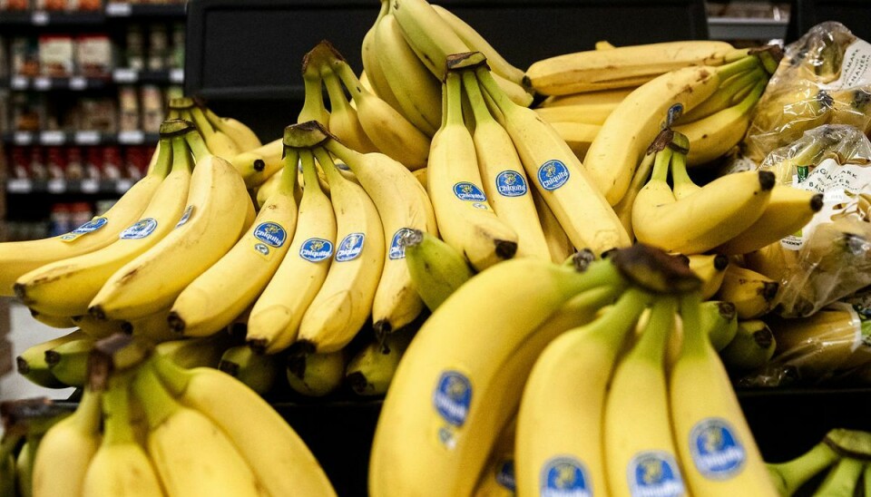 Bananer betegnes som frugt - men i botanikkens verden er der tale om et bær.
