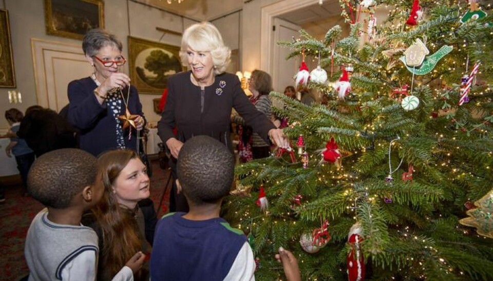 Hertuginden af Cornwall ses her holde jul på slot med en samling børn. I artiklen kan du se hende og gemalen Prins Charles’ romantiske julekort. Foto: Geoff Pugh/Scanpix