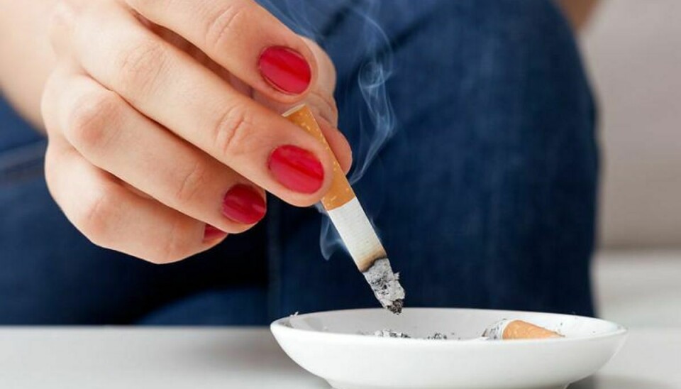 Rygere, der kvitter smøgerne, oplever ofte at tage nogle kilo på, når de dropper cigaretterne. Foto: Scanpix