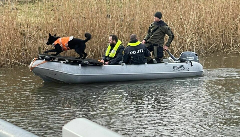 Det er hunde som denne, der vil blive brugt i eftersøgning af den forsvundne 55-årige. På billedet foregår eftersøgningen i Brabrandsøen ved Aarhus.