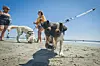 I sommerhalvåret skal hunde altid være i snor på stranden. (Arkivfoto)