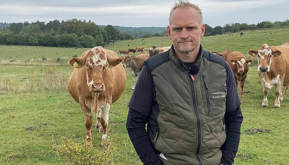 Jørgen Ivar Brus Mikkelsens kødkvæg står for naturpleje i Mols Bjerge, og så sidder han i byrådet for Venstre. Jørgen Ivar Brus Mikkelsens kødkvæg står for naturpleje i Mols Bjerge, og så sidder han i byrådet for Venstre.