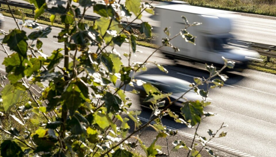En mand og en dreng kastede grene ned på motorvejen til en lastbil En mand og en dreng kastede grene ned på motorvejen til en lastbil