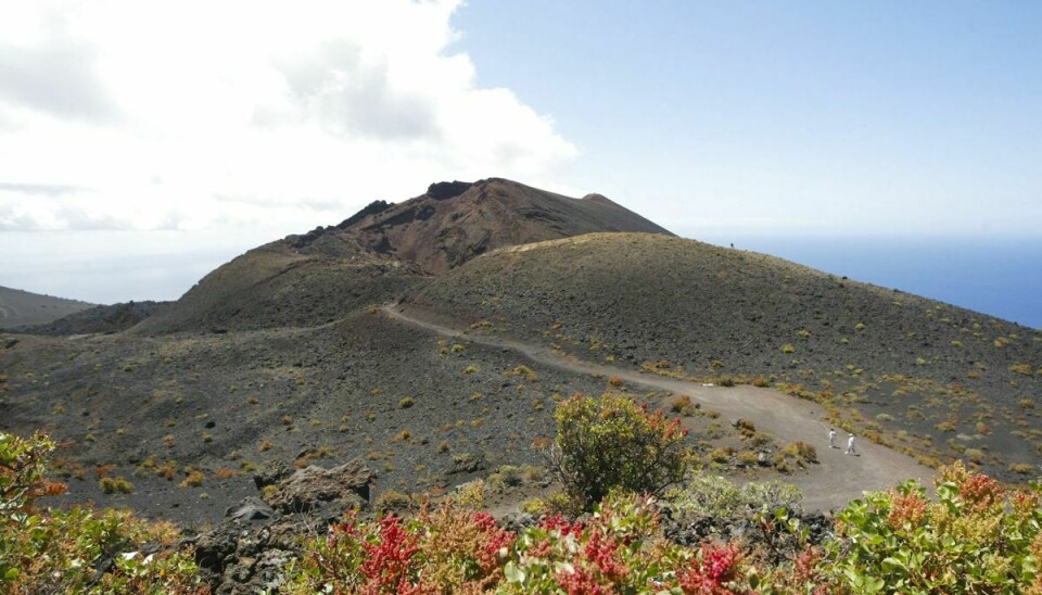 I nationalparken Cumbre Vieja på den sydlige del af ferieøen La Palma er der frygt for, at en vulkan kan gå i udbrud inden for de næste dage eller uger. Øen har været ramt af en række jordskælv, der kan få vulkanen til at gå i udbrud.