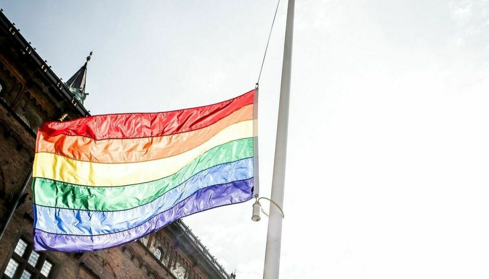 Disse flag skal ikke længere hænge i kommunens flagstænger, hvis det står til Jesper Lærke