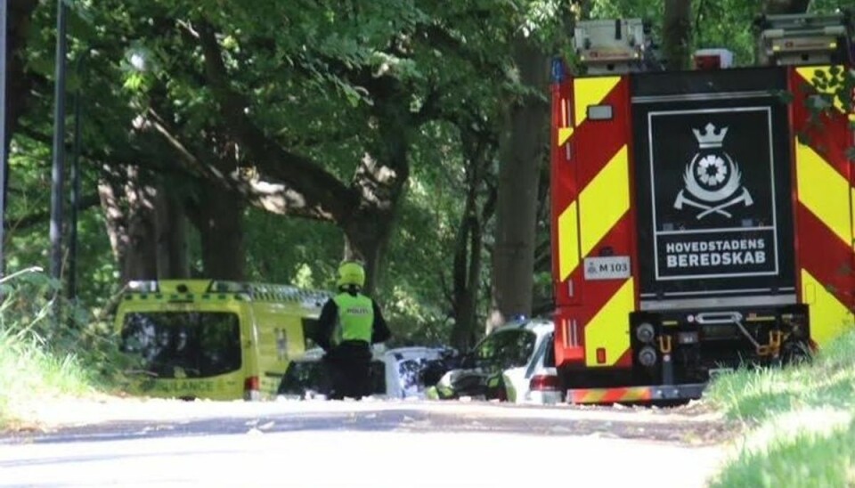 Politiet jagtede en flygtende biltyv på park-stierne.