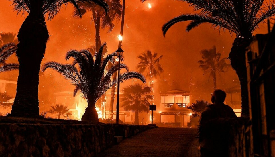 Mange steder i Sydeuropa har været plaget af brande denne sommer. Billedet her er fra en brand i Schinos vest for den græske hovedstad, Athen, i maj.