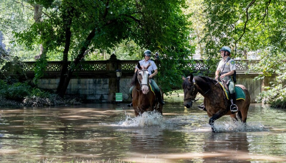 I New York City har de voldsomme mængder regn også forårsaget oversvømmelser i byens berømte Central Park, hvor parkbetjente her patruljerer til hest i vandmasserne.