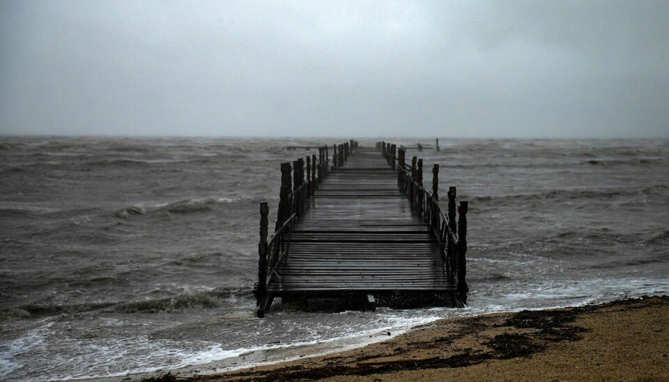 Louisianas guvernør venter den værste orkan siden 1850'erne