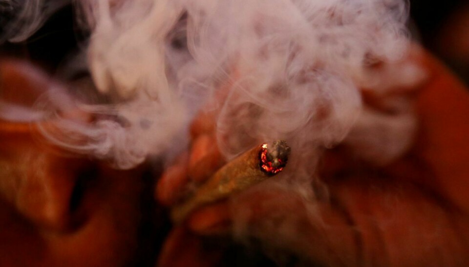 Mere end halvdelen brugte cannabis olie, men en betydelig del røg også enten hash, skunk eller pot.