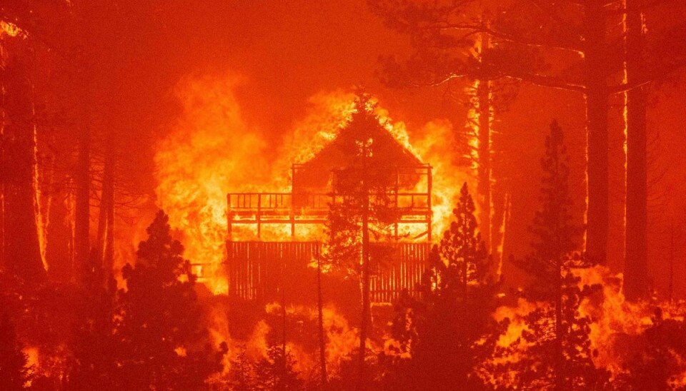 En voldsom skovbrand hærger løs. Her ædes et hus op af flammerne.