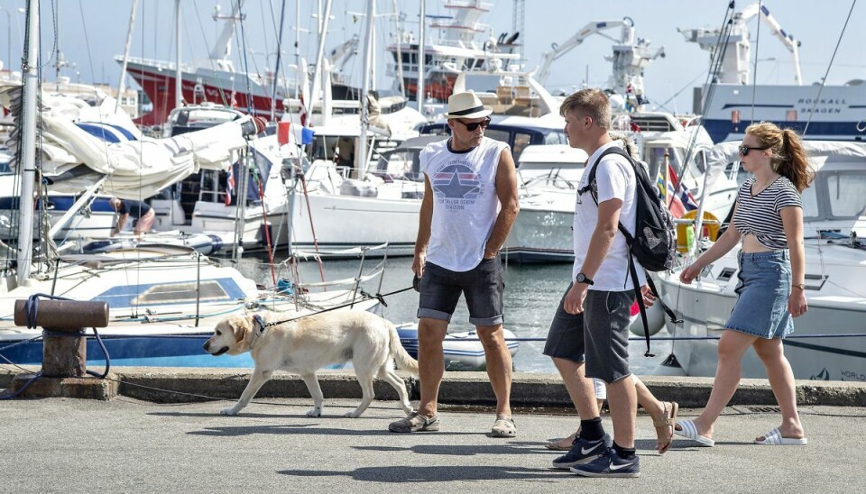 I den østlige del af Danmark bliver vejret solrigt, imens der tegner sig et andet billede i den nordvestlige del. I den østlige del af Danmark bliver vejret solrigt, imens der tegner sig et andet billede i den nordvestlige del.