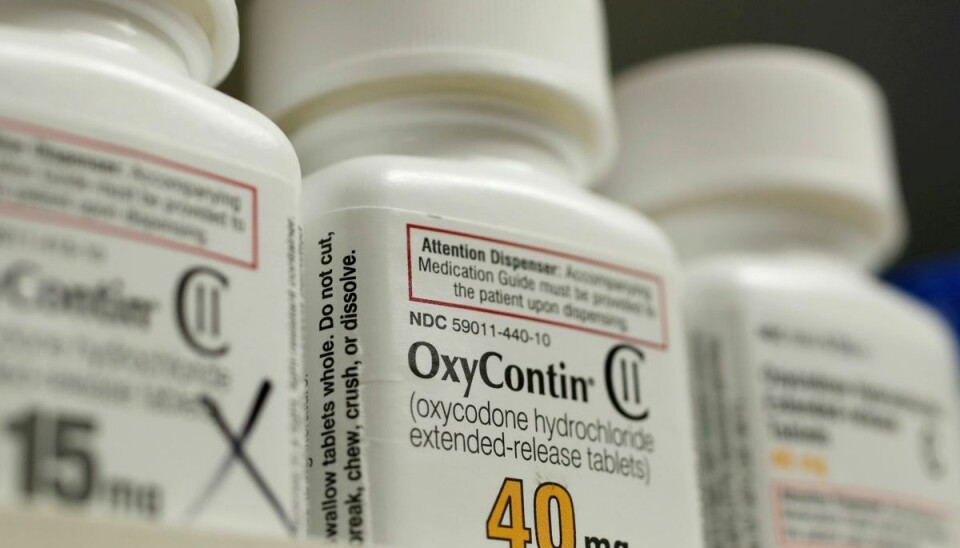 Oxycodon, der også går under depotnavne OxyContin, er et smertestillende præparat, der kan være afhængighedsskabende. En halv million mennesker i USA har mistet livet til en overdosis. (Arkivfoto) Oxycodon, der også går under depotnavne OxyContin, er et smertestillende præparat, der kan være afhængighedsskabende. En halv million mennesker i USA har mistet livet til en overdosis. (Arkivfoto)