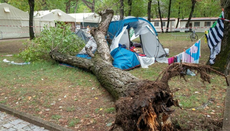 To søstre er blevet dræbt på en campingplads, da et træ væltede ned over deres telt. Foto: EPA/RICCARDO DALLE LUCHE