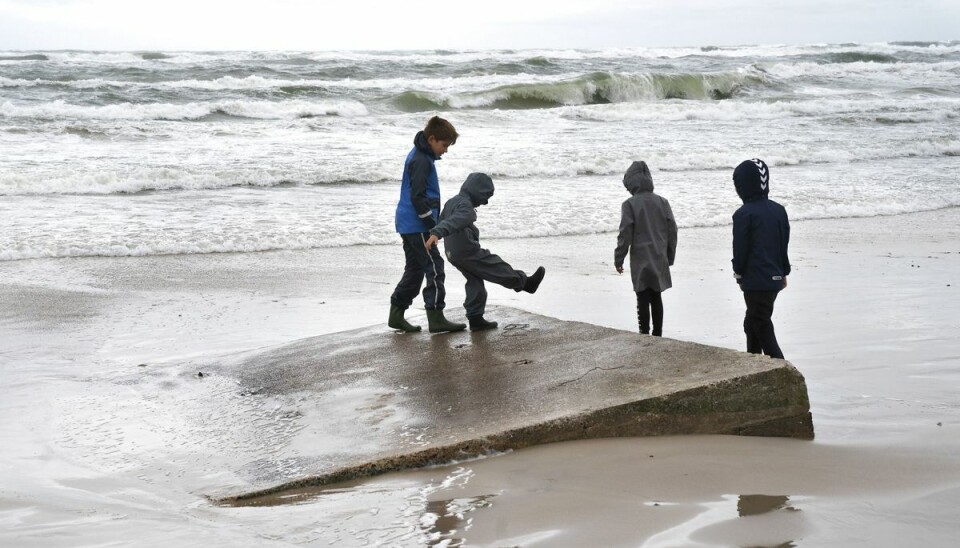 Vejret fredag bliver blæsende med risiko for kraftig vind. (Foto: Henning Bagger/Ritzau Scanpix) Vejret fredag bliver blæsende med risiko for kraftig vind. (Foto: Henning Bagger/Ritzau Scanpix)